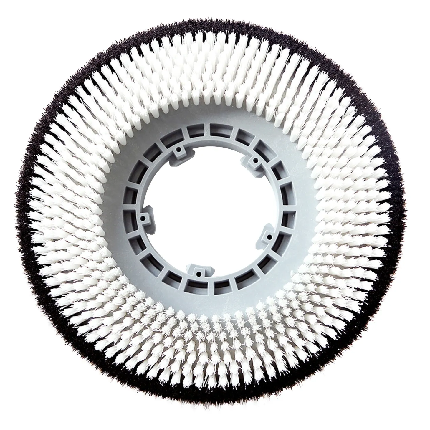 Columbus Schrubbbürste 21" für RA 55 B(M) 40 (Modelle nach 2018)