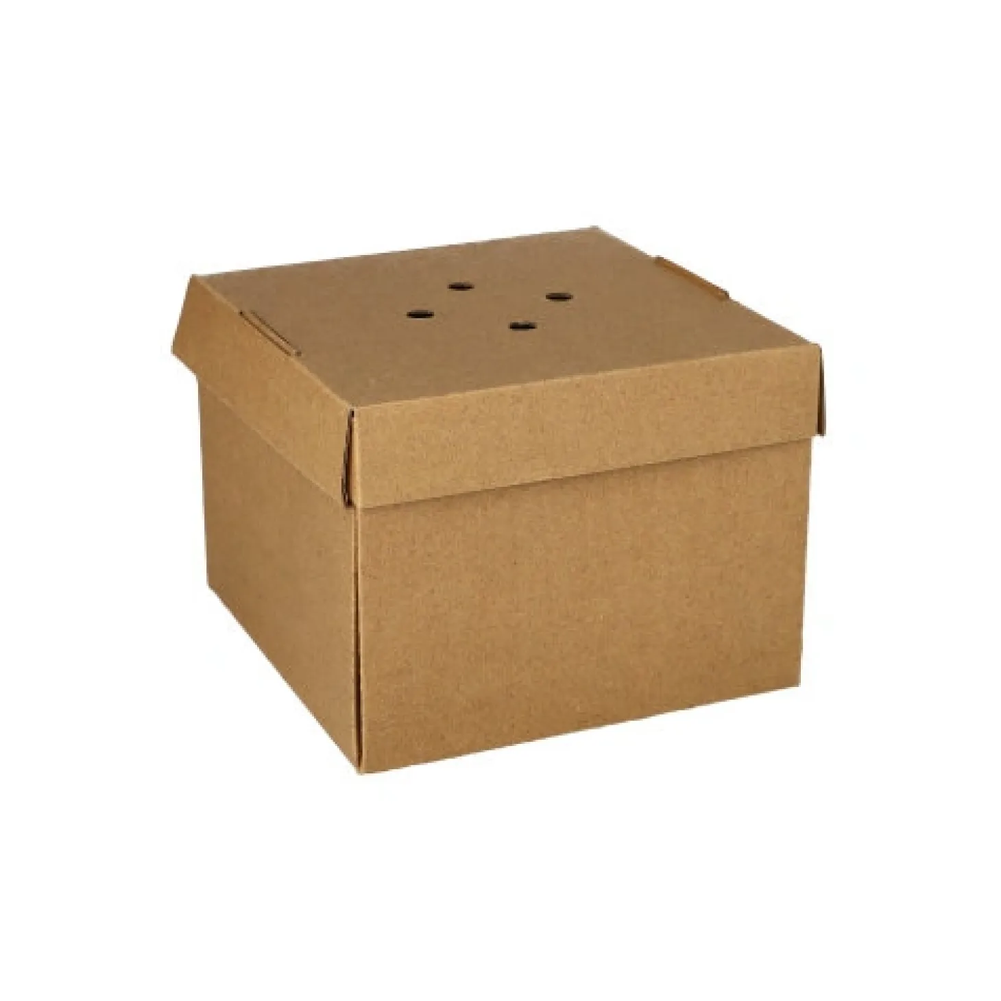 PAPSTAR Burgerboxen, Pappe "pure" 10 cm x 13 cm x 13 cm braun faltbar, klein