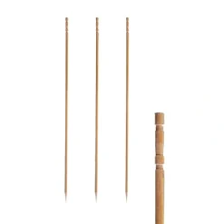 PAPSTAR Fingerfood - Picker 