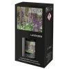 PAPSTAR "Flavour by GALA" Duftöl 10 ml Lavender