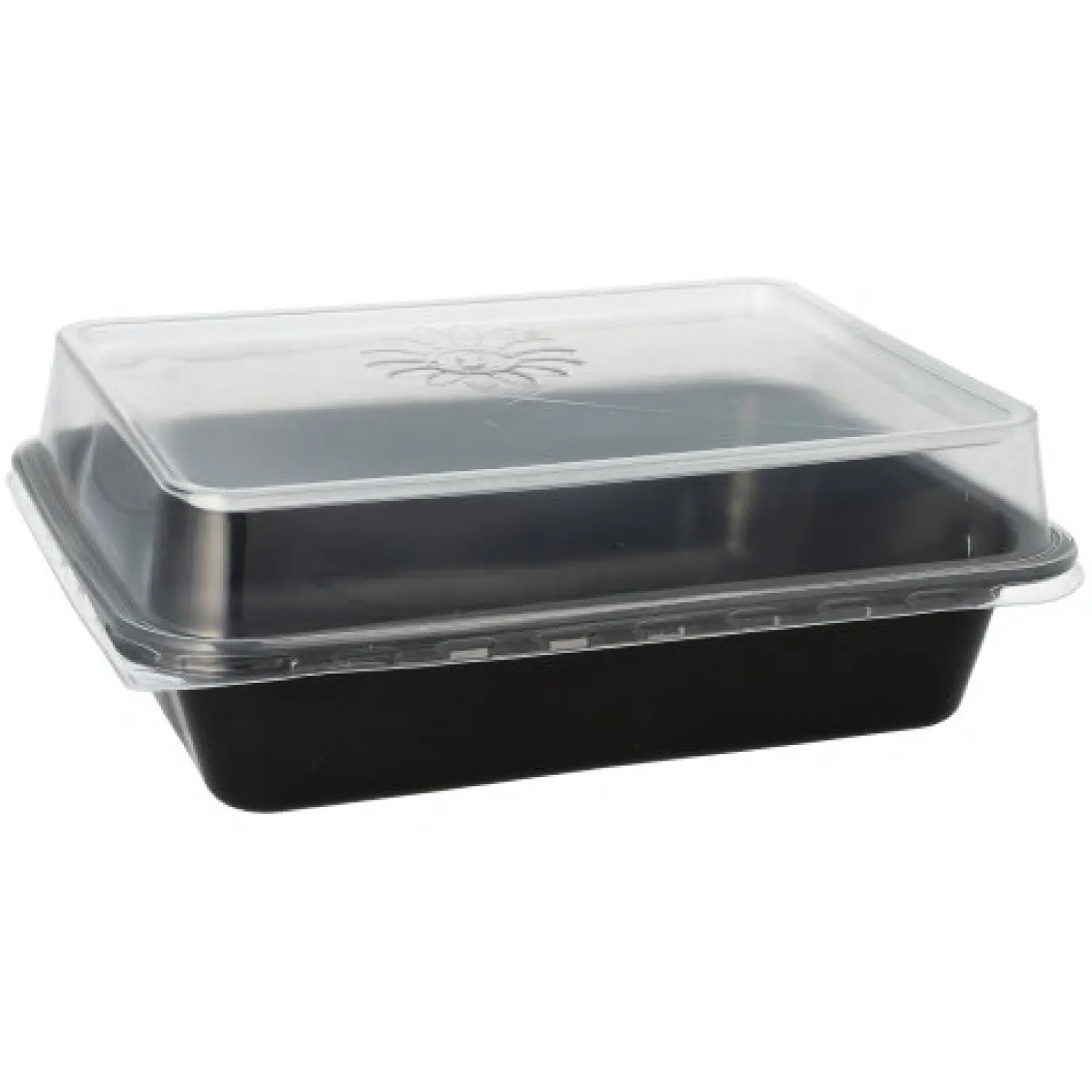 PAPSTAR Pro Pac Deckel für Menüschalen PP 2 cm x 23,4 cm x 18,7 cm transparent