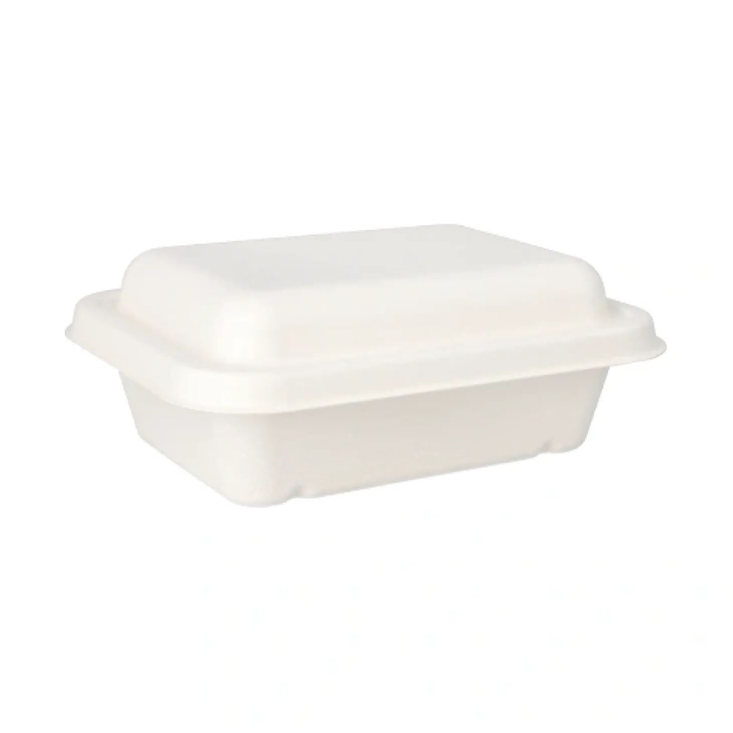 PAPSTAR Schalen, Zuckerrohr "pure" ungeteilt 5,6 cm x 15,3 cm x 20,3 cm weiß