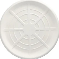 PAPSTAR Servierplatten, Zuckerrohr