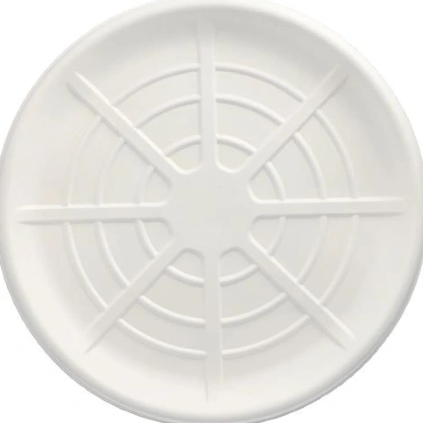 PAPSTAR Servierplatten, Zuckerrohr "pure" rund Ø 47 cm weiß für Meeresfrüchte, 20 x 3 Stück