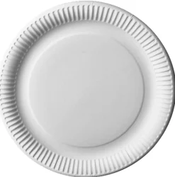 PAPSTAR Teller, Pappe "pure" rund Ø 29 cm weiß, 20 x 12 Stück