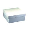 PAPSTAR Tortenkartons, mit Deckel, Pappe eckig 30 cm x 30 cm x 10 cm weiß