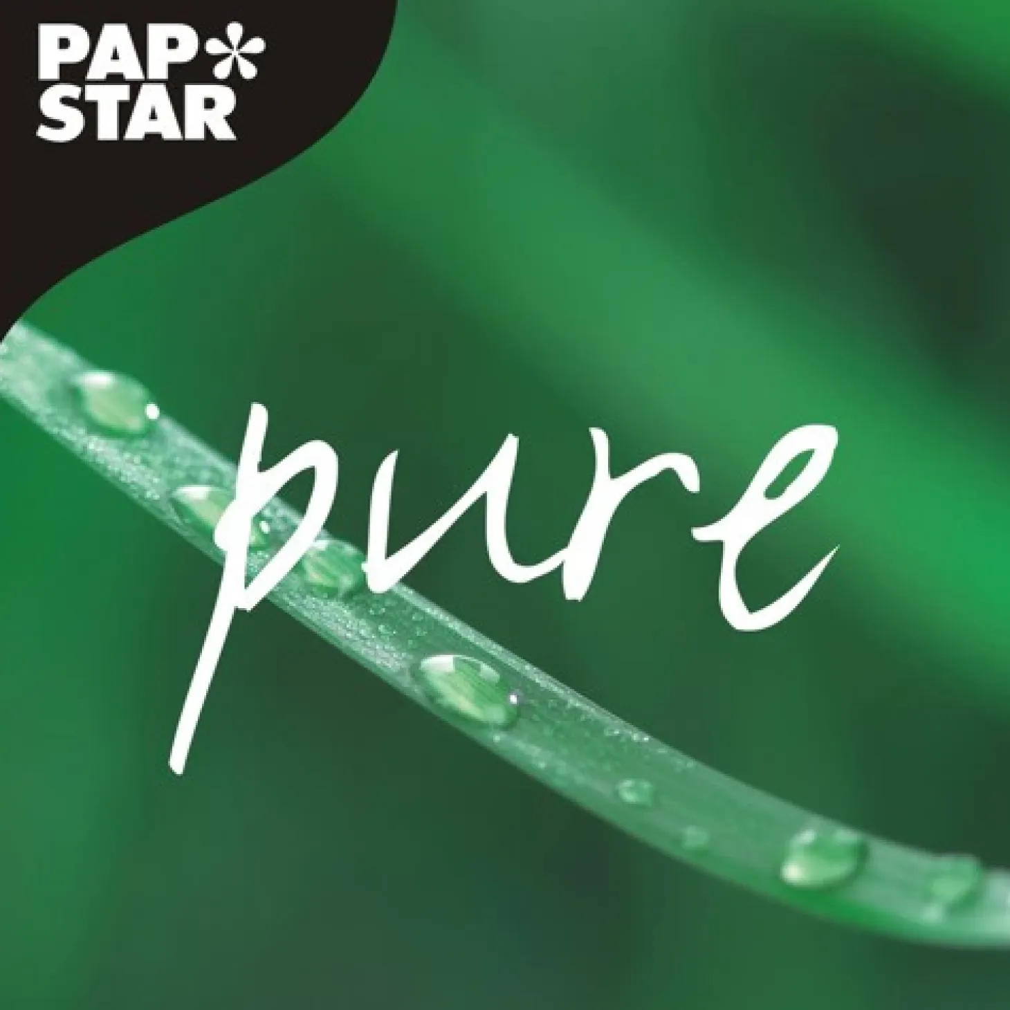 PAPSTAR Transport- und Catering-Kartons "pure" eckig 8 cm x 24,7 cm x 35,7 cm "Good Food" klein