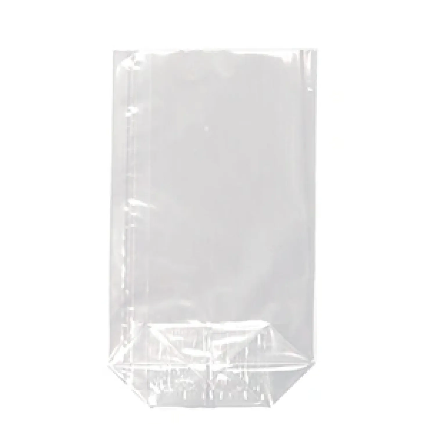 Starpak Bodenbeutel, PP 23,5 cm x 14,5 cm x 5,8 cm transparent