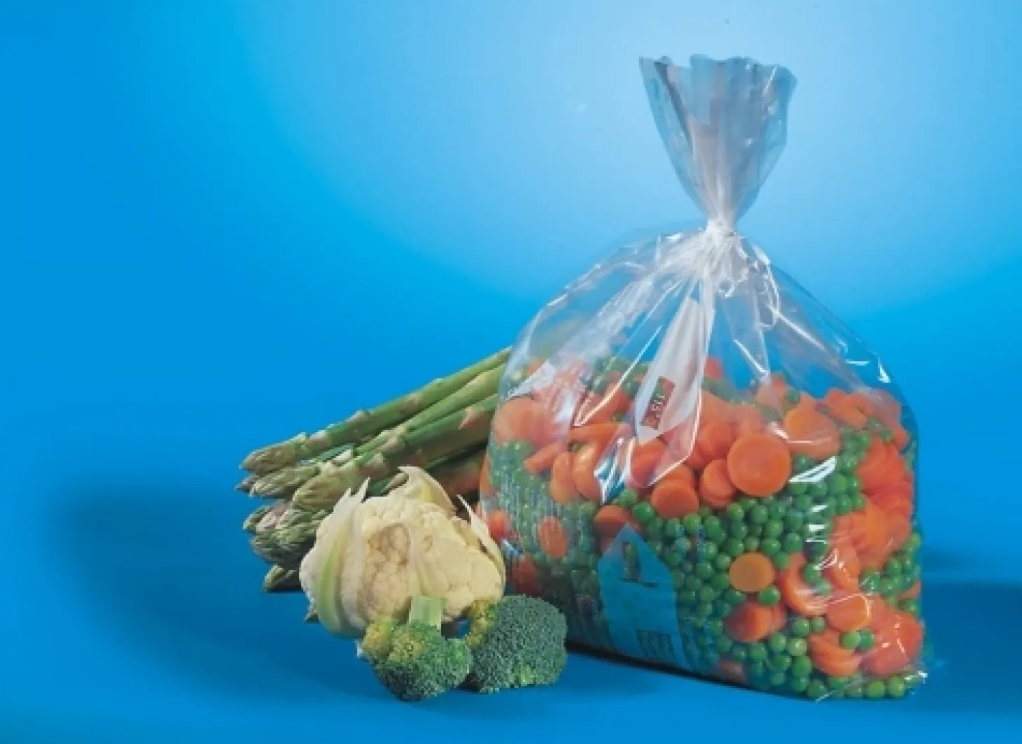 Starpak Gefrierbeutel, LDPE 20 l 60 cm x 40 cm transparent